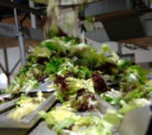 A pesar de la crisis, la IV gama sigue creciendo