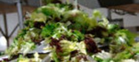 A pesar de la crisis, la IV gama sigue creciendo