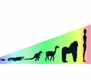 Los congelados se apuntan a la selección natural