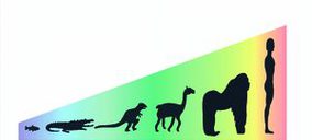 Los congelados se apuntan a la selección natural