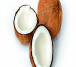 Frutibón amplía su línea de frutas de IV gama tras fuertes inversiones