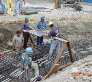 Cenavi prescindirá del 84% de su plantilla