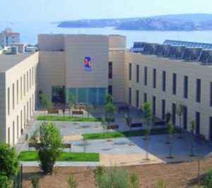 Palamon y G Square entran en Sar