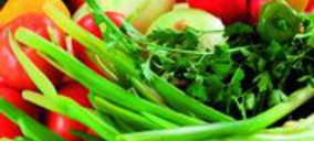 Ejidomar se retira de Única Group