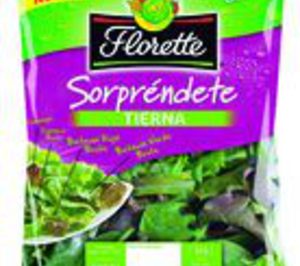 Florette amplía su gama con las nuevas ensaladas Sorpréndete