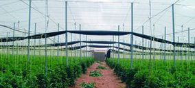 El sector hortofrutícola de Almería apuesta por la concentración