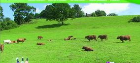 Arla Foods presenta su nueva imagen en internet