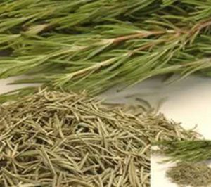 Ramón Sabater incrementa en un 20% su capacidad productiva