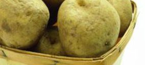 Patata fresca: menos valor y algo más de consumo