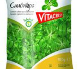Vitacress lanza canónigos baby leaf