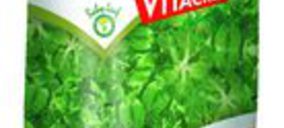 Vitacress lanza canónigos baby leaf