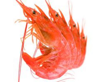 Congelación Mar de Altura inaugura sus instalaciones en Mercamálaga