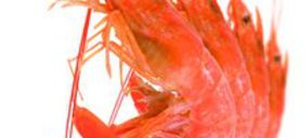 Congelación Mar de Altura inaugura sus instalaciones en Mercamálaga