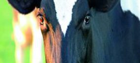 Gurelesa y Copeleche unen fuerzas en la nueva Kaiku Cooperativa