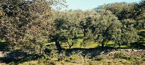 Los productores extremeños de ibérico denuncian fraude ante el Ministerio