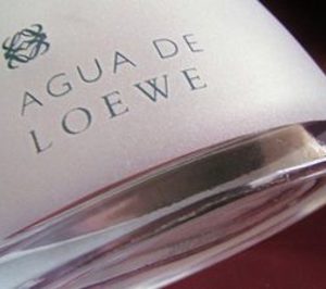 Favidema atraviesa su momento más crítico