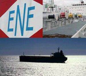Naviera Elcano supera los 300 M de facturación en 2008