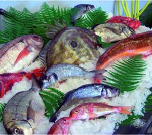 Pescados Paco reajusta su estructura