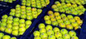 Única Group y QDF suscriben un acuerdo comercial