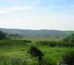 La peletera Genuino Ubrique levantará un 4E en Arcos