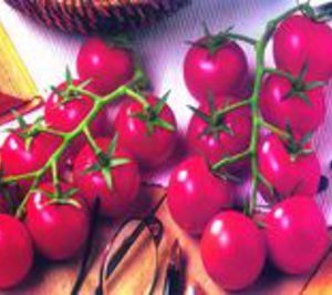 Gs y Durán ponen fin a su acuerdo y liquidarán Pascual & Durán Marketing