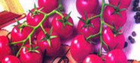 Gs y Durán ponen fin a su acuerdo y liquidarán Pascual & Durán Marketing