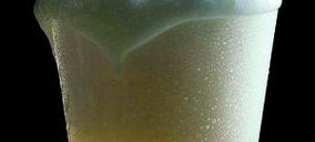 Cervezas: un mercado marquista y concentrado