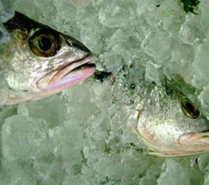 Celcamar entra en proceso de liquidación