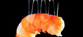 La brasileña Netuno y la argentina Yuken se incorporan al perímetro de Europacífico