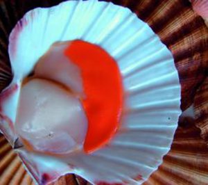 Eduardo Vieira pone en marcha una nueva planta en Perú tras invertir 7 M$