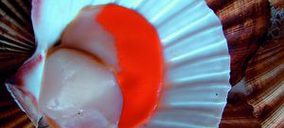 Eduardo Vieira pone en marcha una nueva planta en Perú tras invertir 7 M$