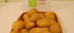 Neiker-Tecnalia presenta nuevas variedades de patata