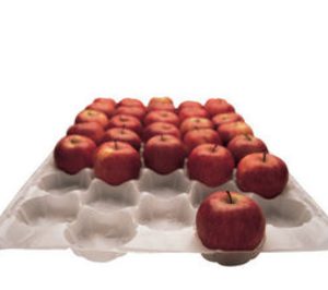 Sanviplast, 1,2 M para ampliar capacidad