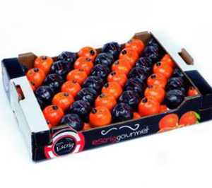 Exforpe introduce sus naranjas Escrig Gourmet en el Mercado Central de París