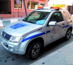 Sergesa Televida crece un 30% hasta alcanzar unas ventas de 14,65 M en 2008