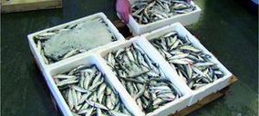 Pescados Paco sale a flote