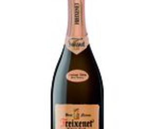 Freixenet presenta un nuevo cava