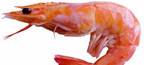 Jaime Soriano destina 10 M$ a la reconstrucción de su planta de Nicaragua