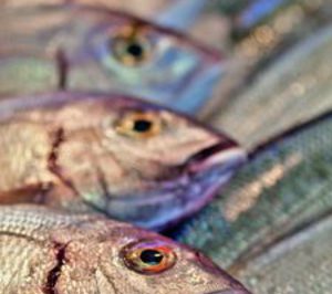 Andrómeda compra la división acuícola del grupo Conei