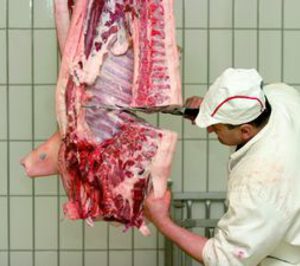 Tiprocar abrirá en los dos primeros meses de 2010 sus nuevas instalaciones cárnicas