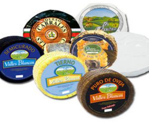 Millán Vicente prevé triplicar producción con una nueva planta