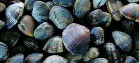 Tinamenor perfila inversiones