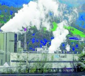 Smurfit Kappa Nervión invertirá 25 M para aumentar un 40% su producción eléctrica procedente de biomasa