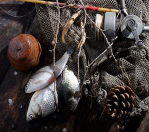 La consellería gallega del Mar incrementa un 7% su presupuesto