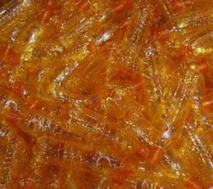 Termoplásticos Extremeños crece y abre nuevos negocios