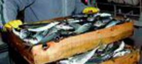 Se levanta el veto a los envases de madera para productos pesqueros