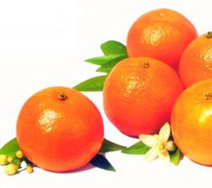 Cooperativa de Llíria invierte 12 M en sus instalaciones