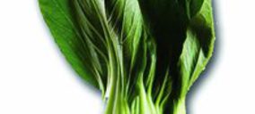 Primaflor continúa apostando por la diversificación e incorpora nuevos productos