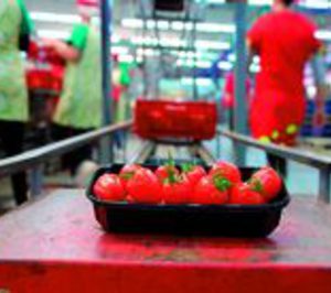 Granada La Palma comienza a vender una nueva variedad de tomate