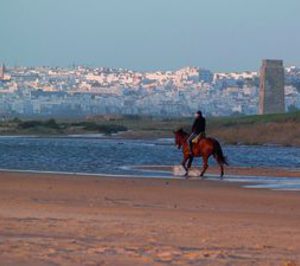 Chival Promociones se hace con el proyecto de Riera Marsá en El Palmar